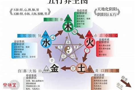 五行木旺缺水|八字缺木和水怎么补救 (命里缺木和水最好补救的办法)